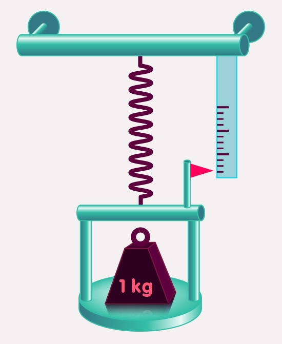 Measuring the gravitational force w using th a spring