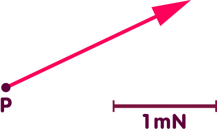 A vector shows strength and direction of a force on a reference particle