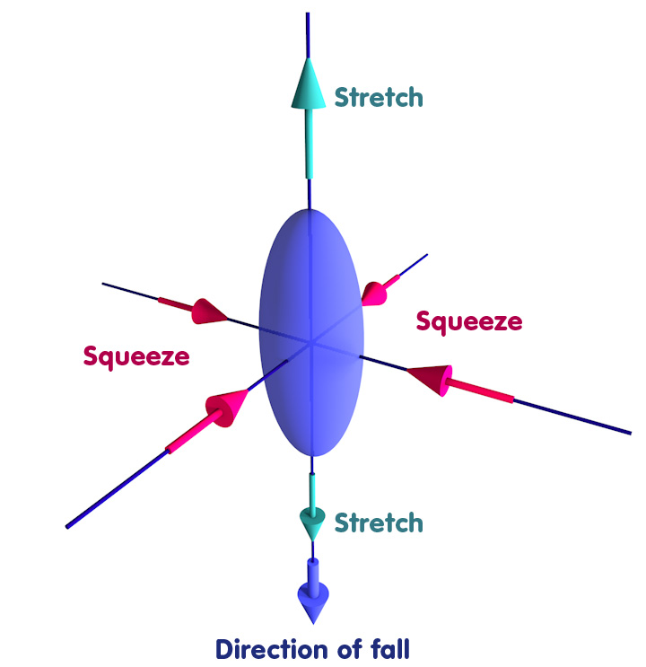 Object deformed into an ellipsoid: Stretched in the direction of fall, squeezed in the other two directions