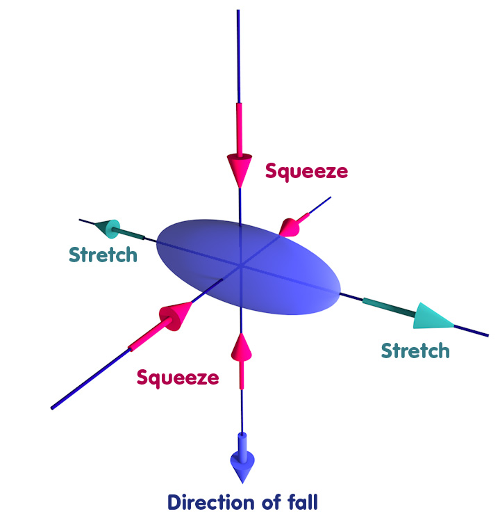 Object deformed into an ellipsoid: Squeezed in the direction of fall and one other direction, stretched in the remaining direction