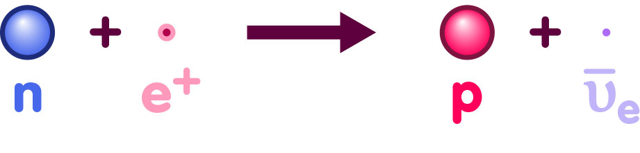 Neutron plus positron produces proton plus anti-electron-neutrino